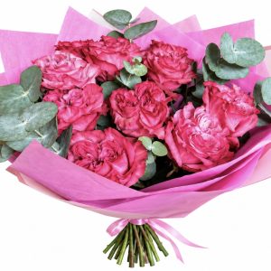 "Pink Queen" kimp
