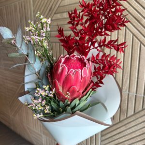 Protea elegance